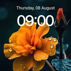 Datuk Sri Najib best. Alhamdullilah.